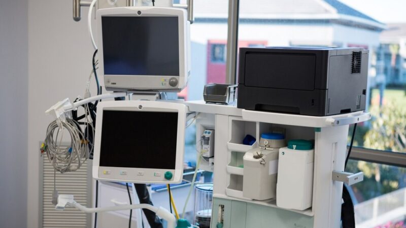Wawer alarmuje! Ugryzienie przez nietoperza z wścieklizną wstrząsnęło mieszkańcami