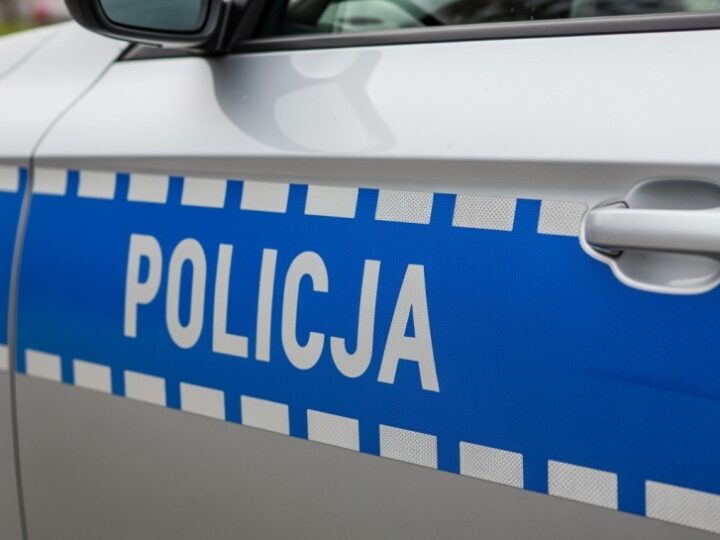 Polscy pseudokibice w rękach austriackiej policji po brutalnym napadzie na A9