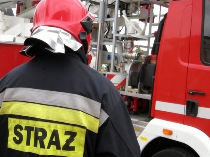 Półrocze PSP w Warszawie: Kluczowe osiągnięcia i przyszłe wyzwania