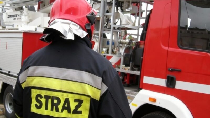 Półrocze PSP w Warszawie: Kluczowe osiągnięcia i przyszłe wyzwania