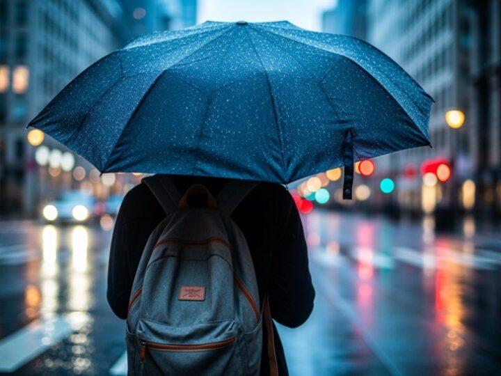Żoliborz w trosce o zieleń: Koszenie traw wstrzymane z powodu upałów
