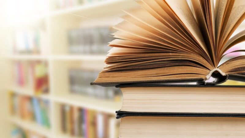 Lato pełne literackich niespodzianek w Bibliotece Zielonej!