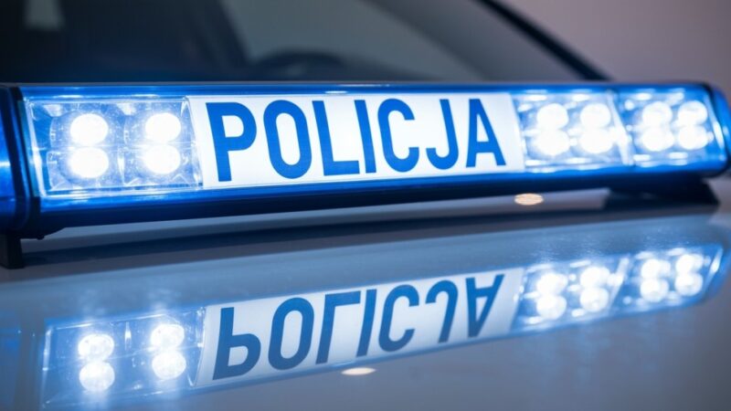 Warszawskie kontrole transportowe: Zatrzymane 59 dowodów rejestracyjnych i 10 praw jazdy!