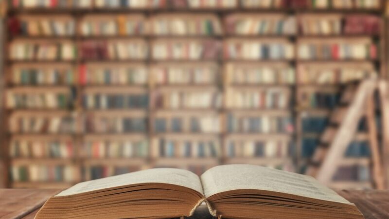 Wakacyjne literackie skarby w Bibliotece Publicznej na Białołęce!