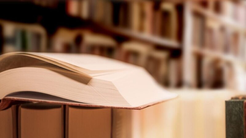 Twórcze Wyzwanie w Bibliotece Zielonej: Dołącz do Letniego Spotkania!