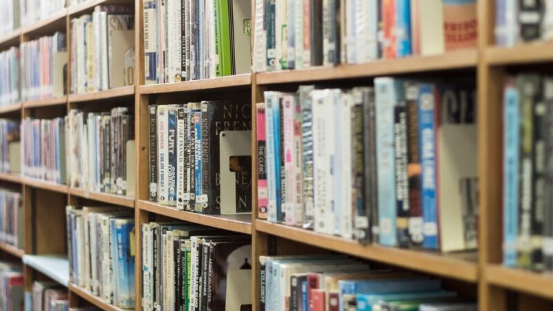Złość z innej perspektywy: Spotkanie z Ciotką Emotką w Bibliotece dla Dzieci