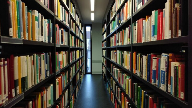 Bezpłatne Teatralne Przygody dla Dzieci w Bibliotekach tej Jesieni!