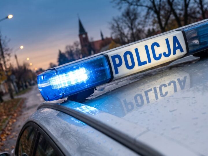 Patrole konne w mieście: jak policyjni jeźdźcy szkolą swoje konie do służby?