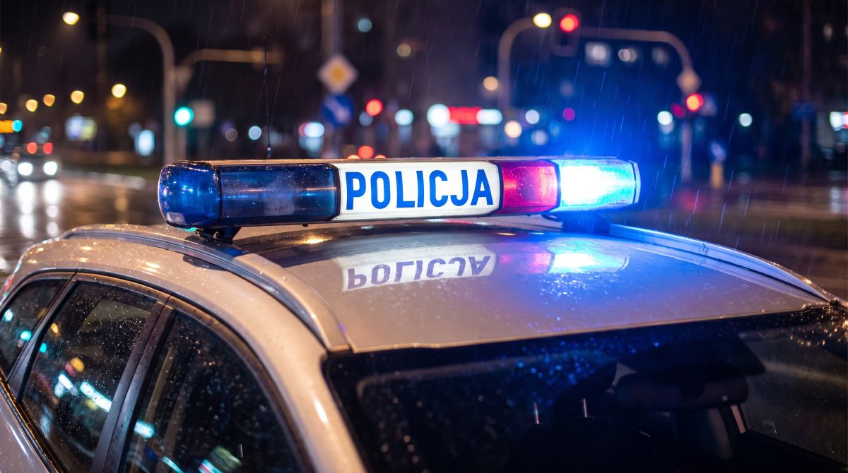 Złote kolby na kukurydzy: Sabotaż czy zemsta?